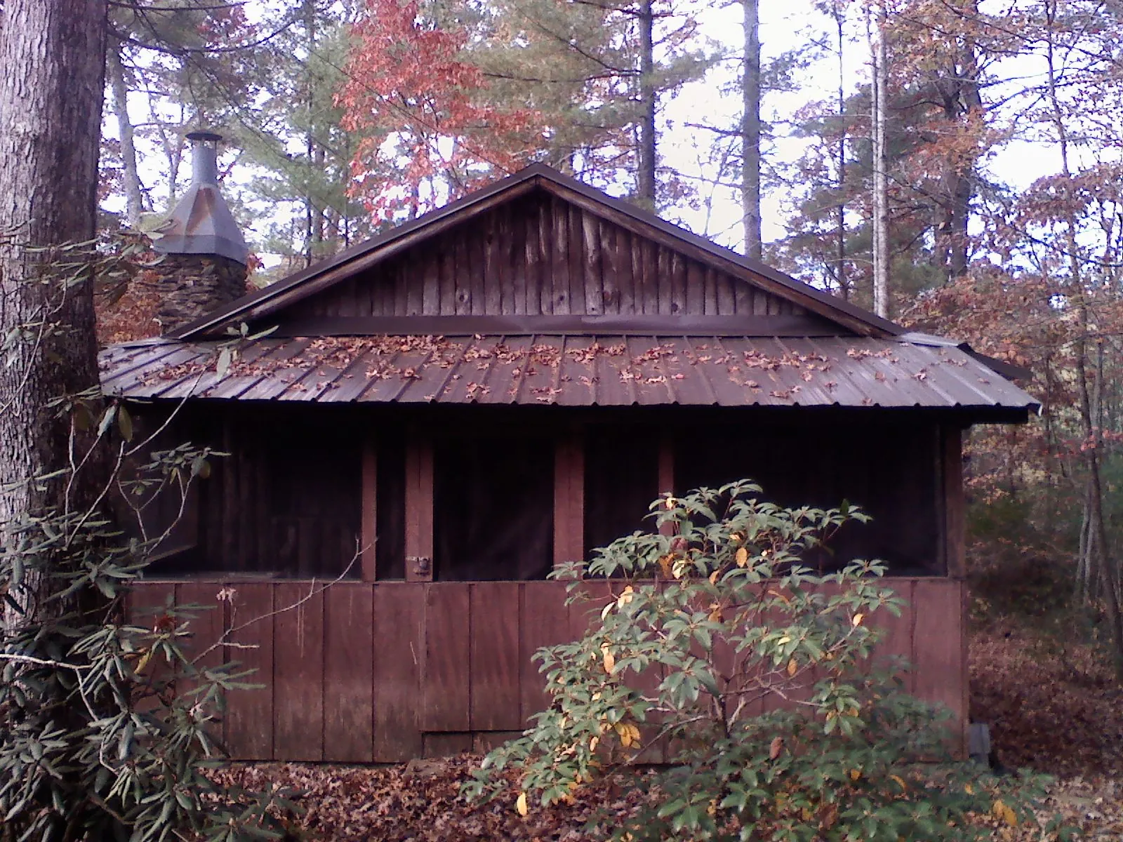 Metal roof over the screened porch of a rustic cabin in Chester Springs